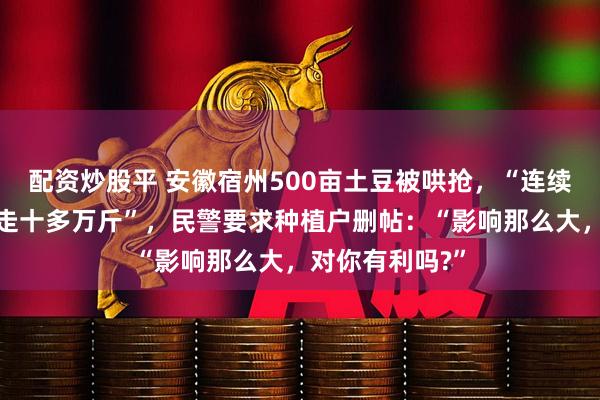 配资炒股平 安徽宿州500亩土豆被哄抢,“连续四天,每天抢走十多万斤”,民警要求种植户删帖:“影响那么大,对你有利吗?”